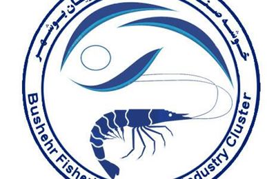 درباره ما
